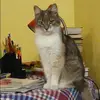 Отзыв от Галина Злобина
